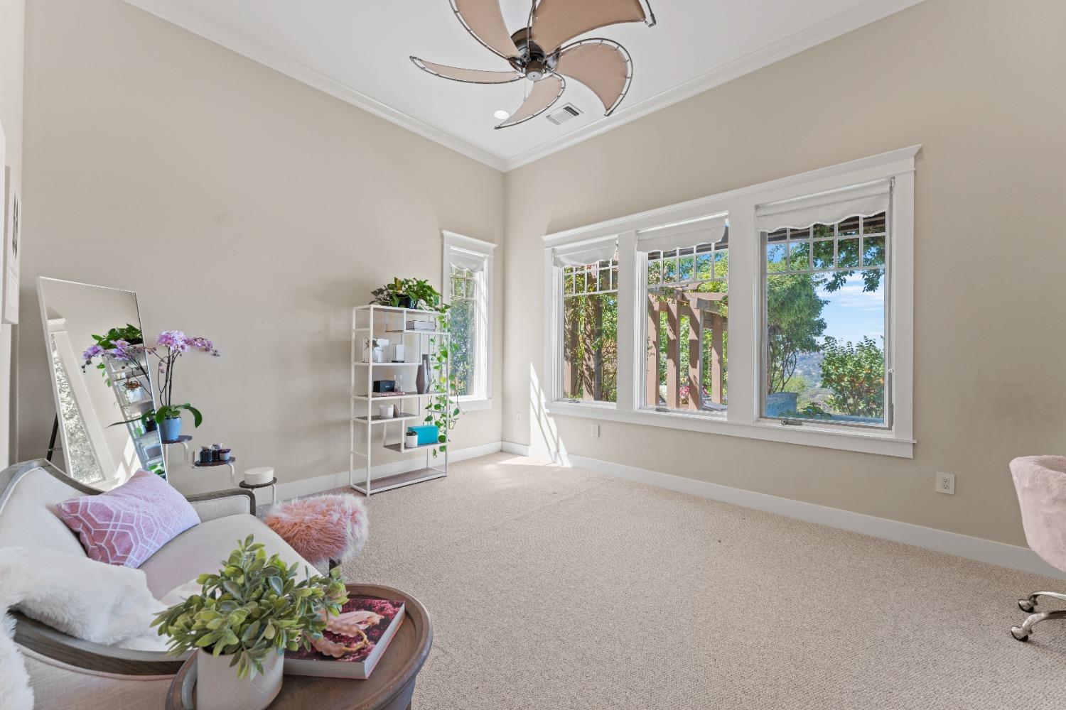 Breese Circle, El Dorado Hills, California image 42