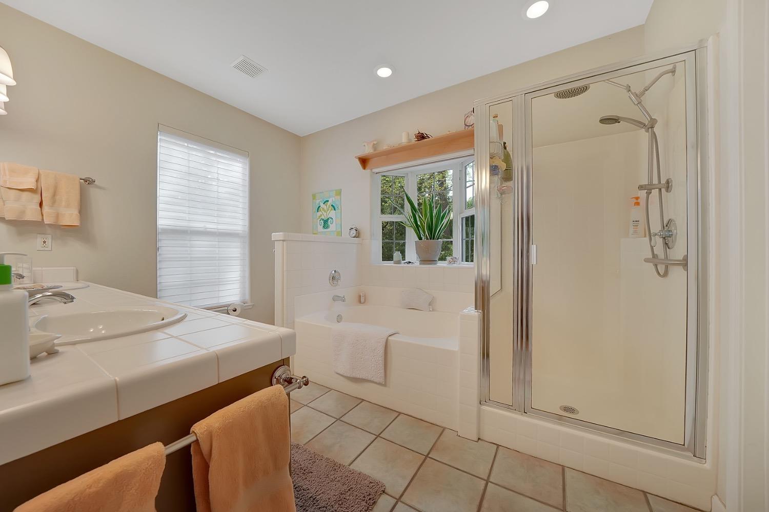 Detail Gallery Image 43 of 88 For 18860 Sylvia Dr, Pine Grove,  CA 95665 - 3 Beds | 2/1 Baths