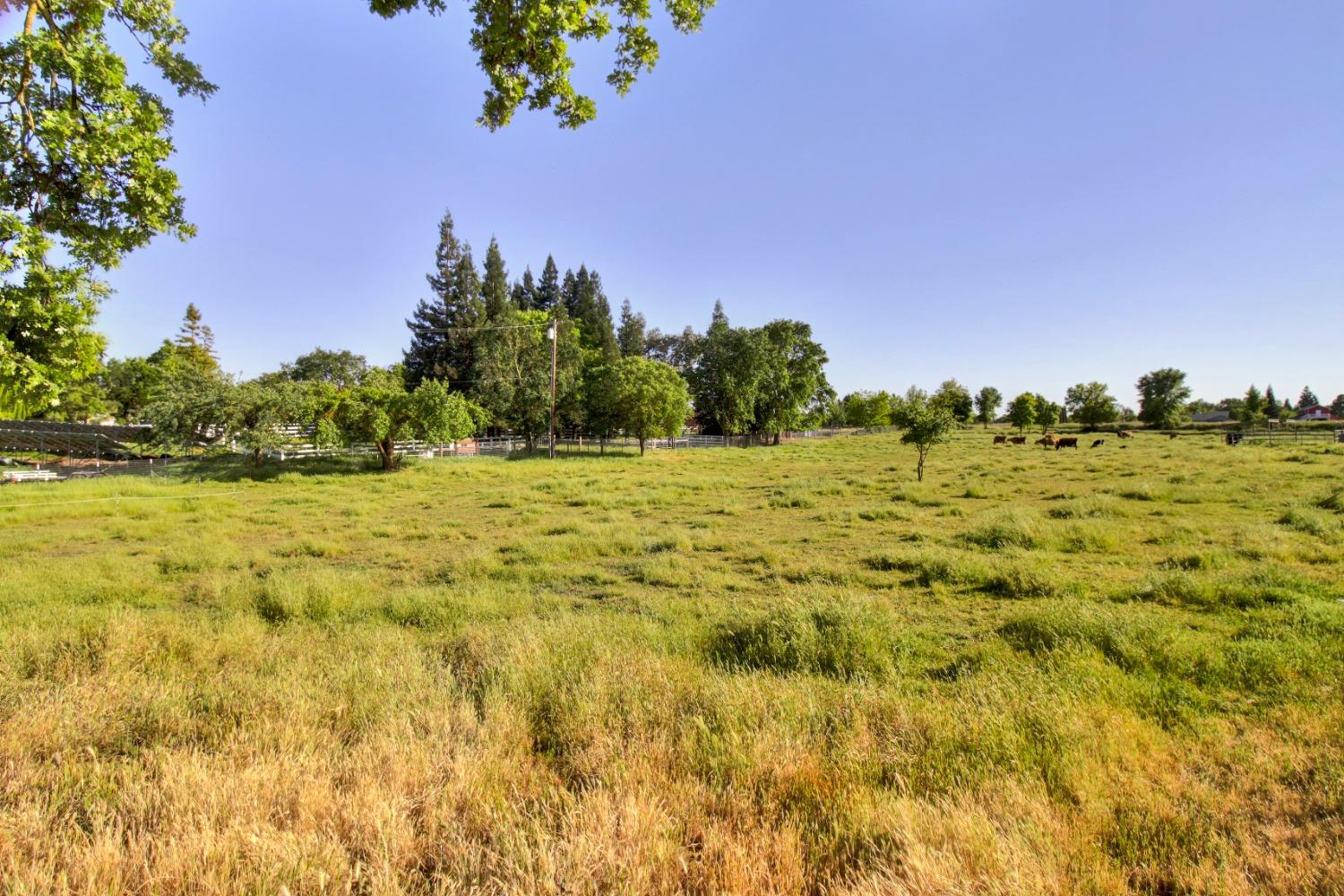Detail Gallery Image 80 of 93 For 12730 Leo Ln, Wilton,  CA 95693 - 4 Beds | 4 Baths