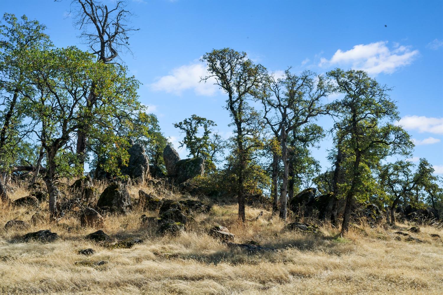 Hammonton Bluff Parcel 8, Smartsville, California image 40
