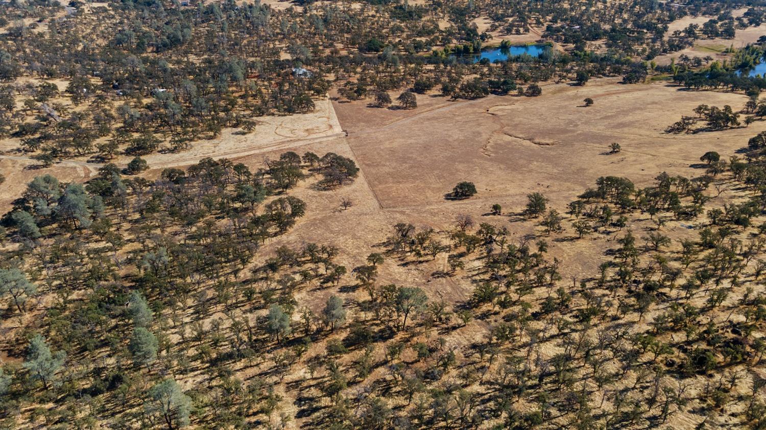 Hammonton Bluff Parcel 8, Smartsville, California image 10