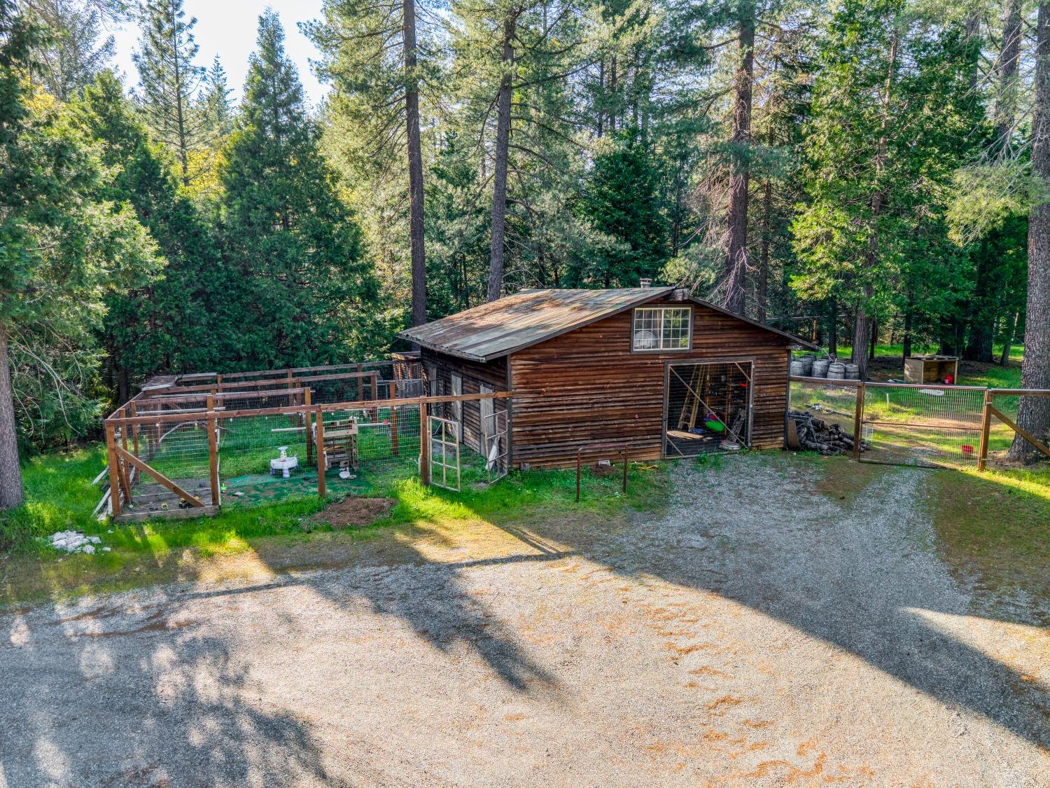 Bear Creek Road, Garden Valley, California image 7