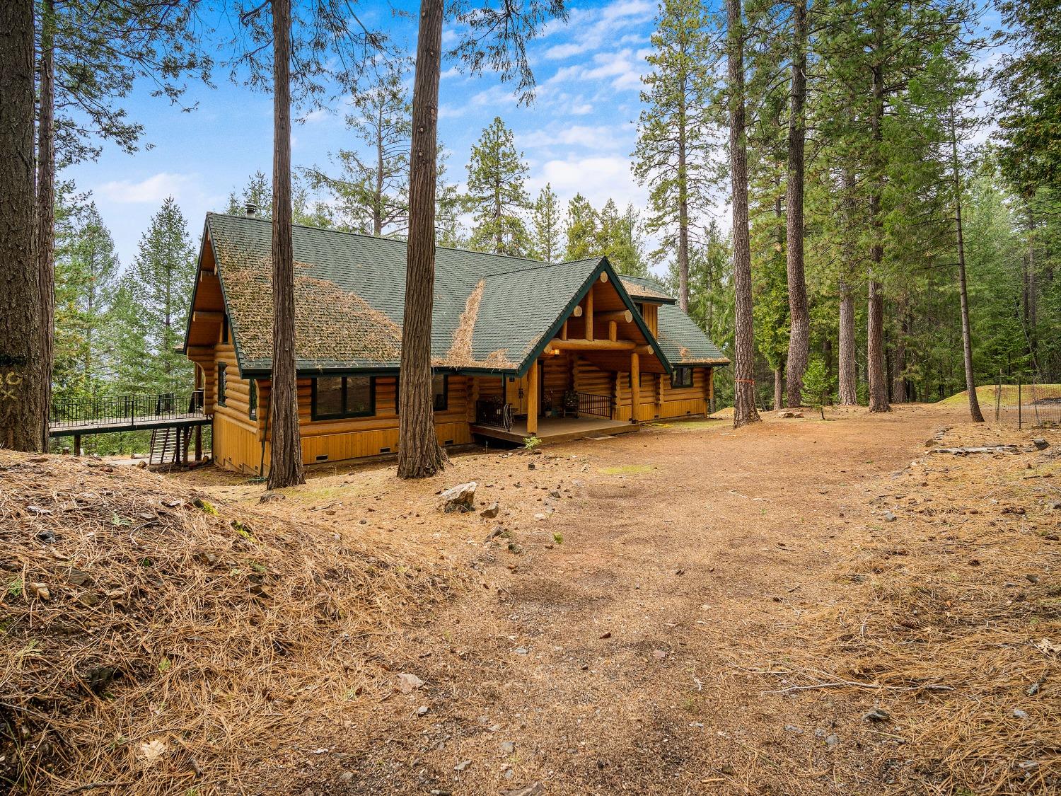 Blue Mountain Drive, Grizzly Flats, California image 1