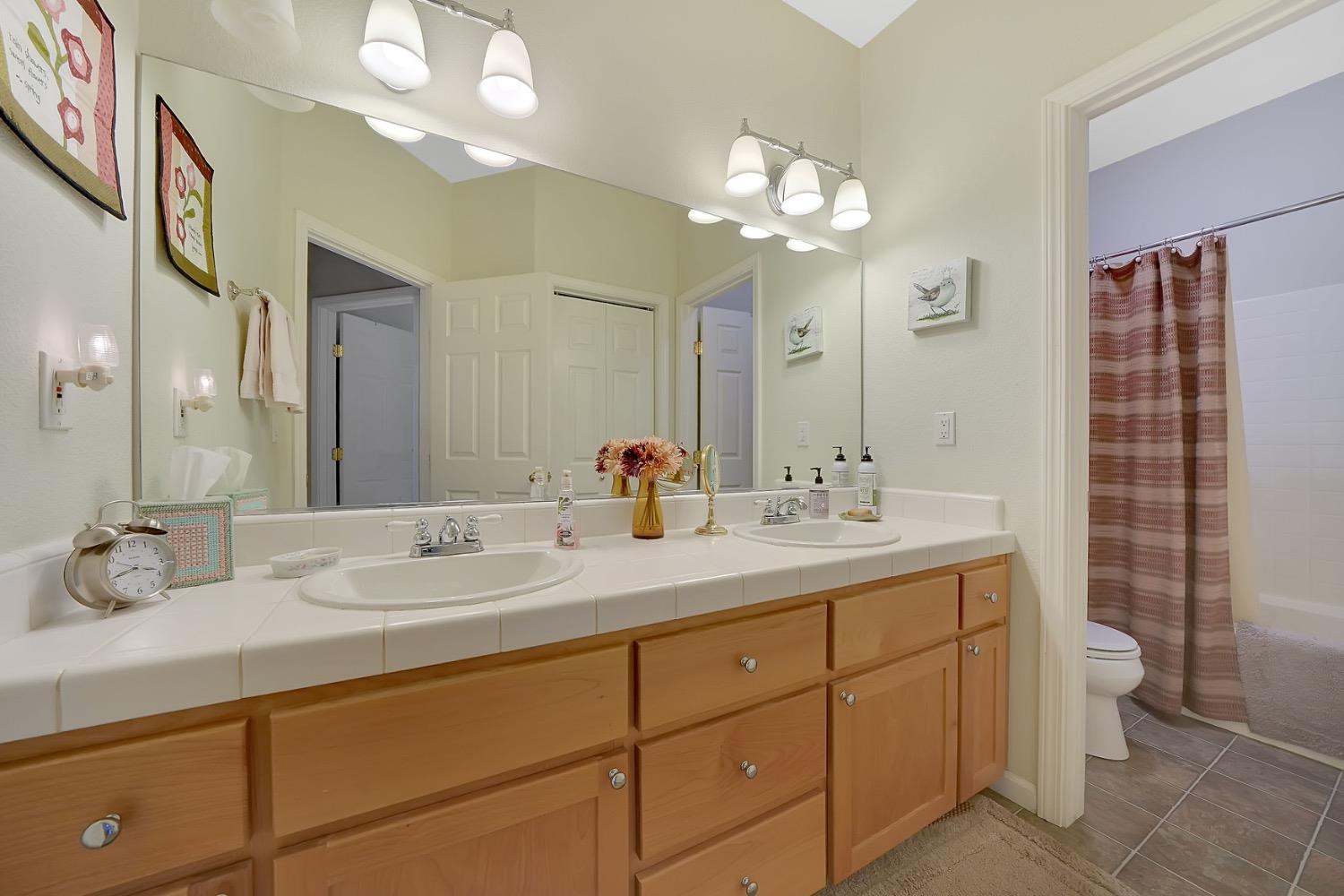 Detail Gallery Image 51 of 88 For 18860 Sylvia Dr, Pine Grove,  CA 95665 - 3 Beds | 2/1 Baths