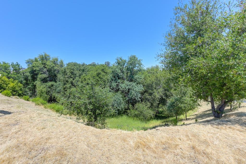 Bordeaux Drive, El Dorado Hills, California image 30