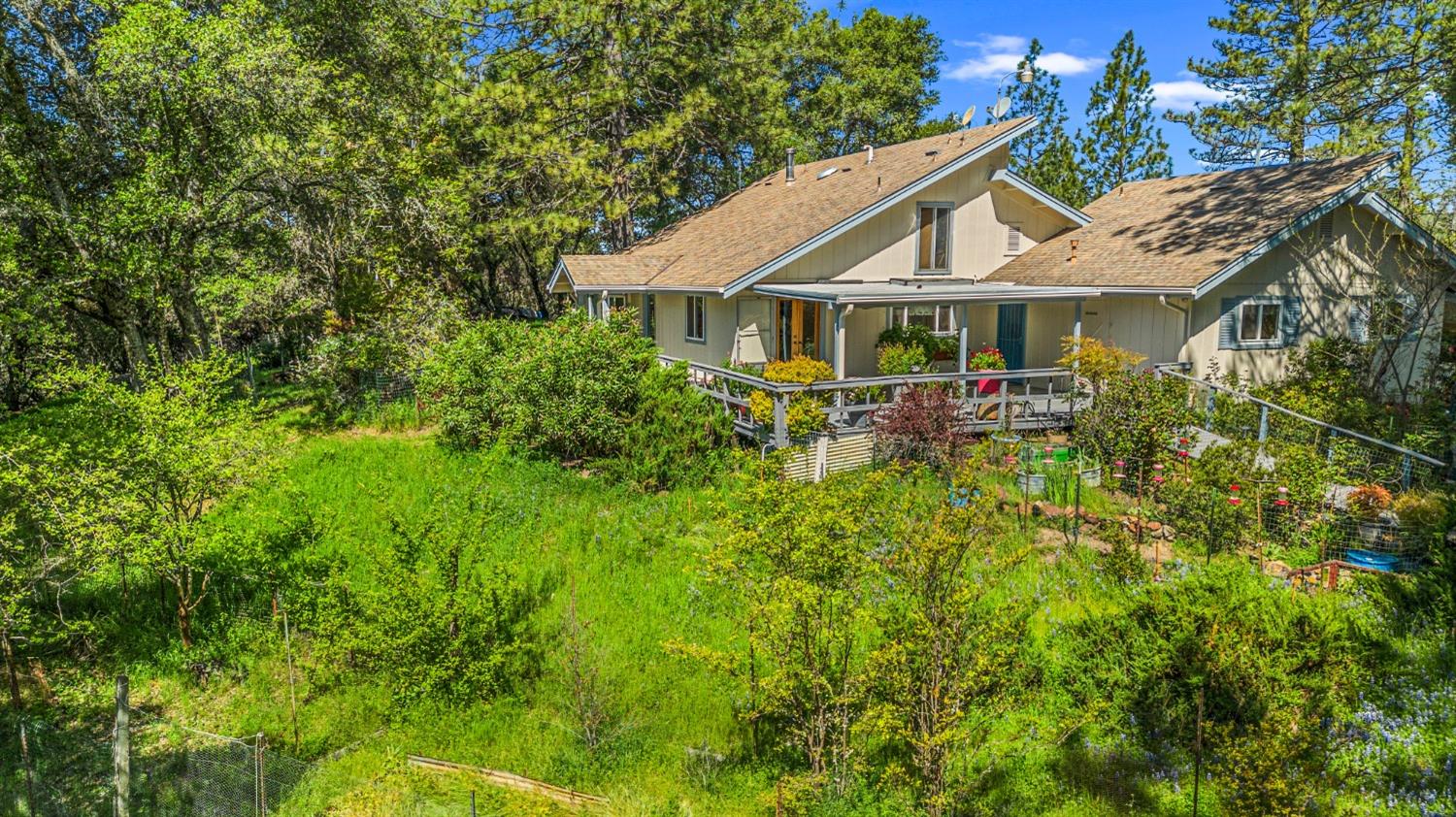 Detail Gallery Image 4 of 79 For 16080 Mount Whitney Dr, Fiddletown,  CA 95629 - 3 Beds | 2 Baths
