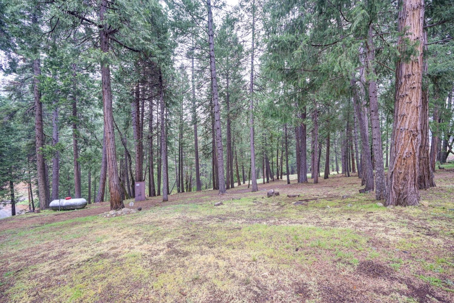 Sierra Springs Drive, Pollock Pines, California image 42