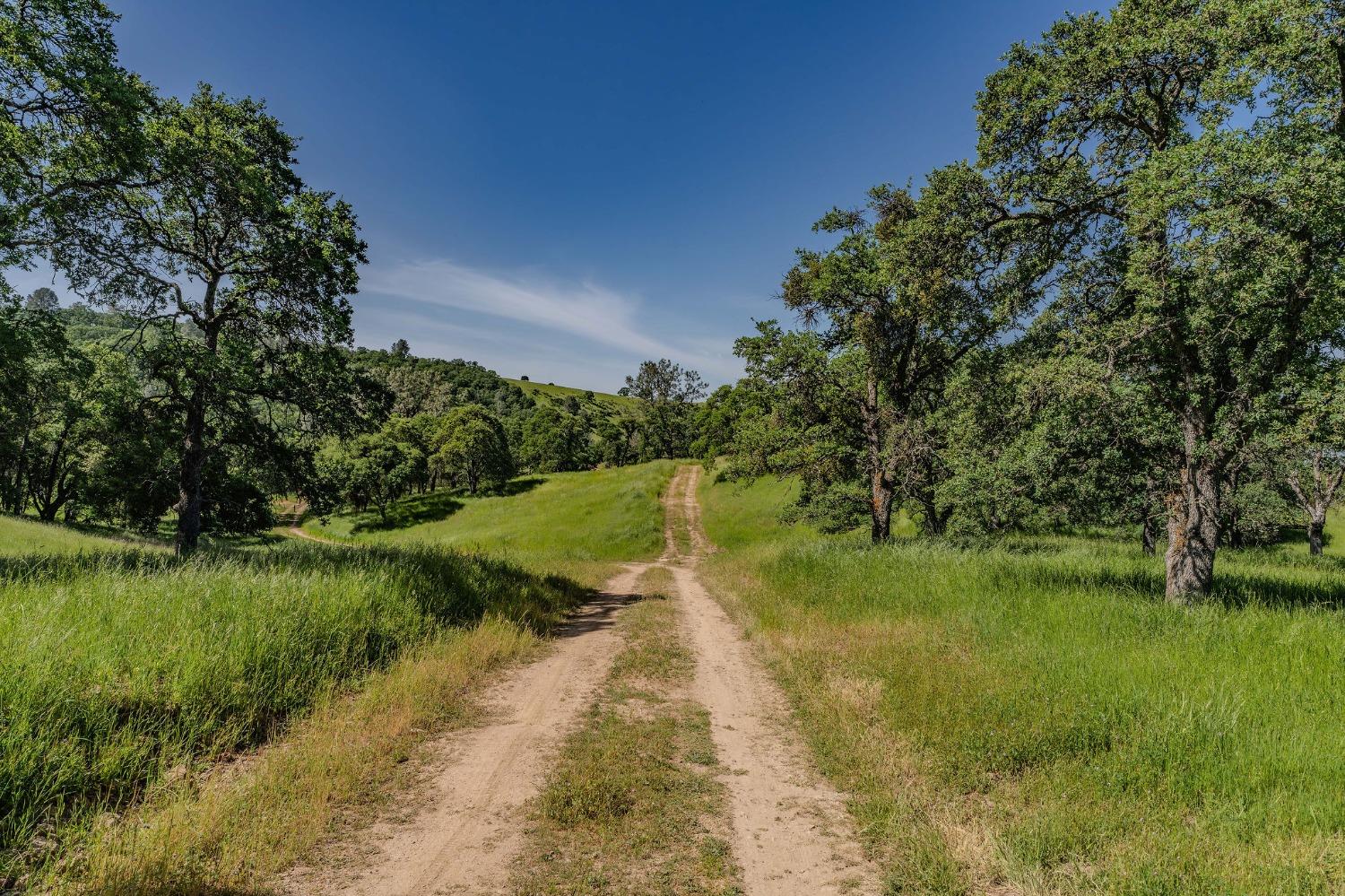 Sunset Drive, Sutter Creek, California image 6