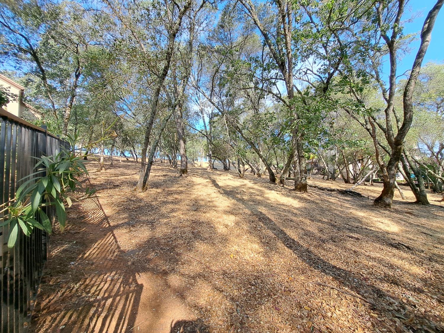 Aldea Drive, El Dorado Hills, California image 4