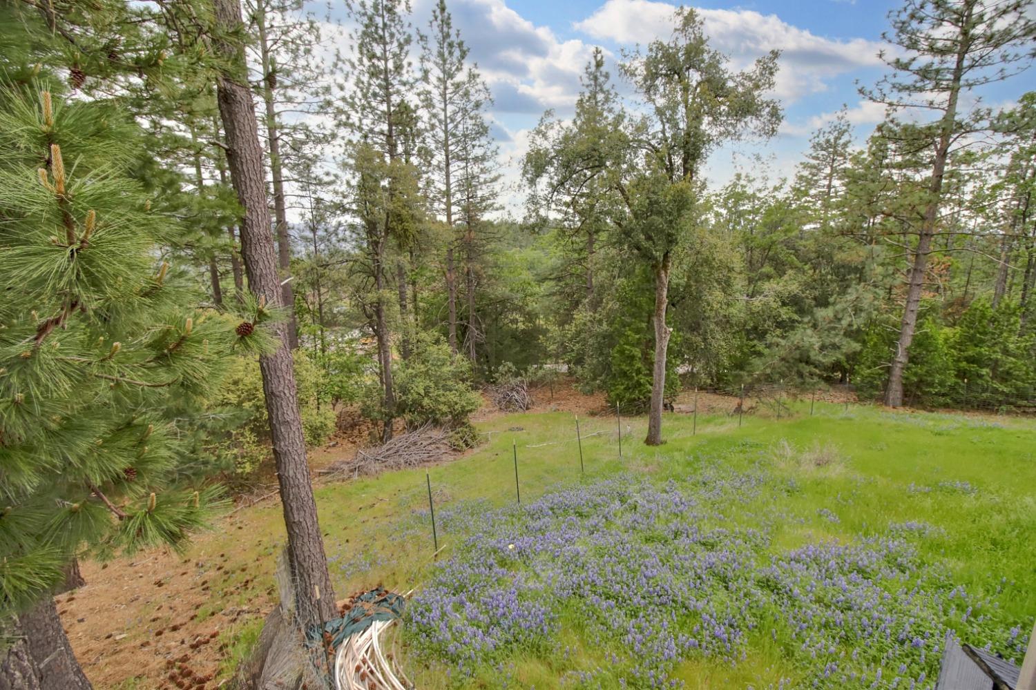Hilltop Court, Pine Grove, California image 35