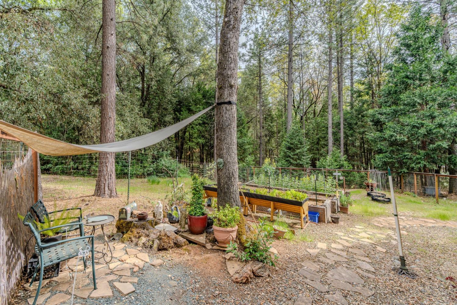 Detail Gallery Image 84 of 88 For 18860 Sylvia Dr, Pine Grove,  CA 95665 - 3 Beds | 2/1 Baths