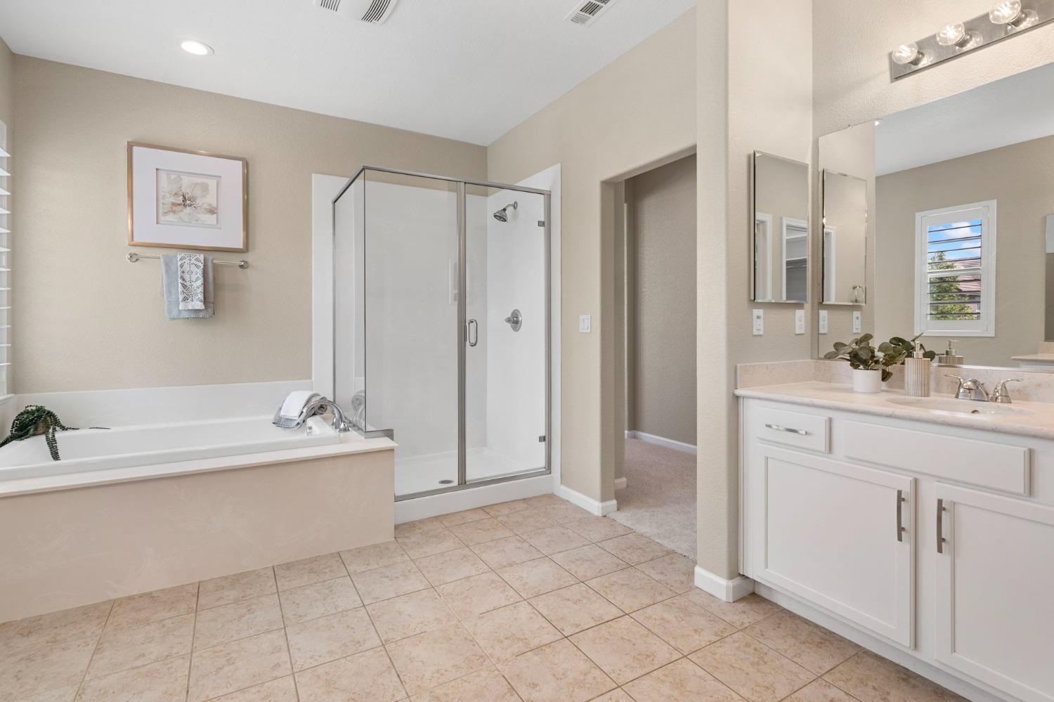 Detail Gallery Image 47 of 70 For 1071 S Jacobs Dr, Mountain House,  CA 95391 - 6 Beds | 3/1 Baths