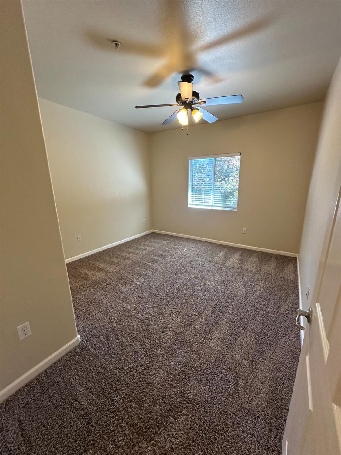 Photo #12: 225055530 Listing: Photo #12