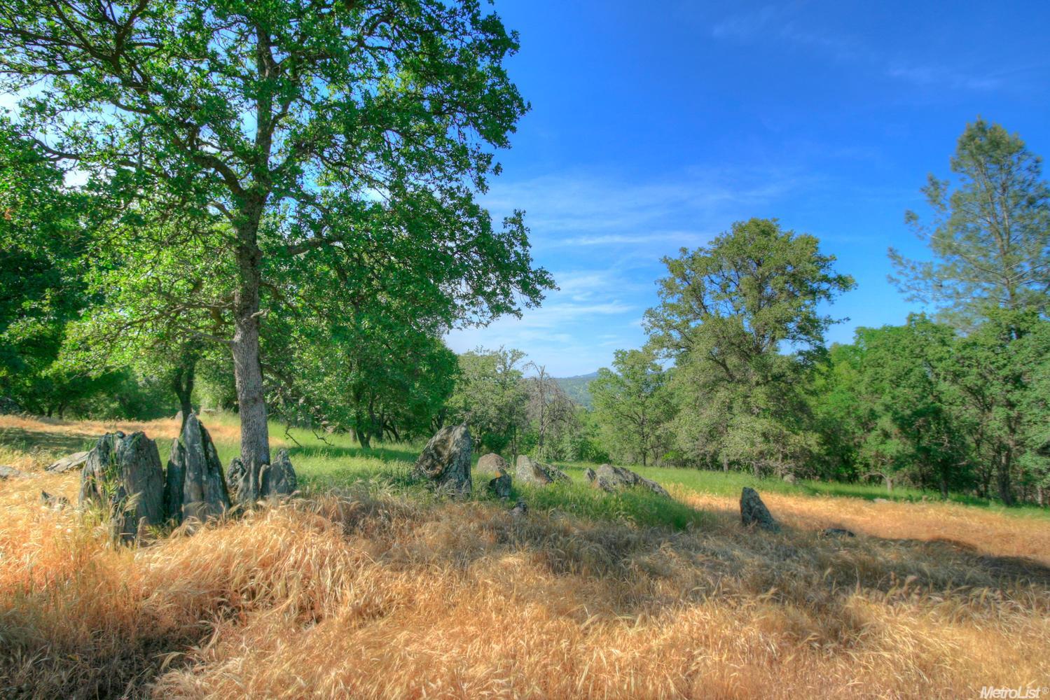 Garden Bar Road, Lincoln, California image 18