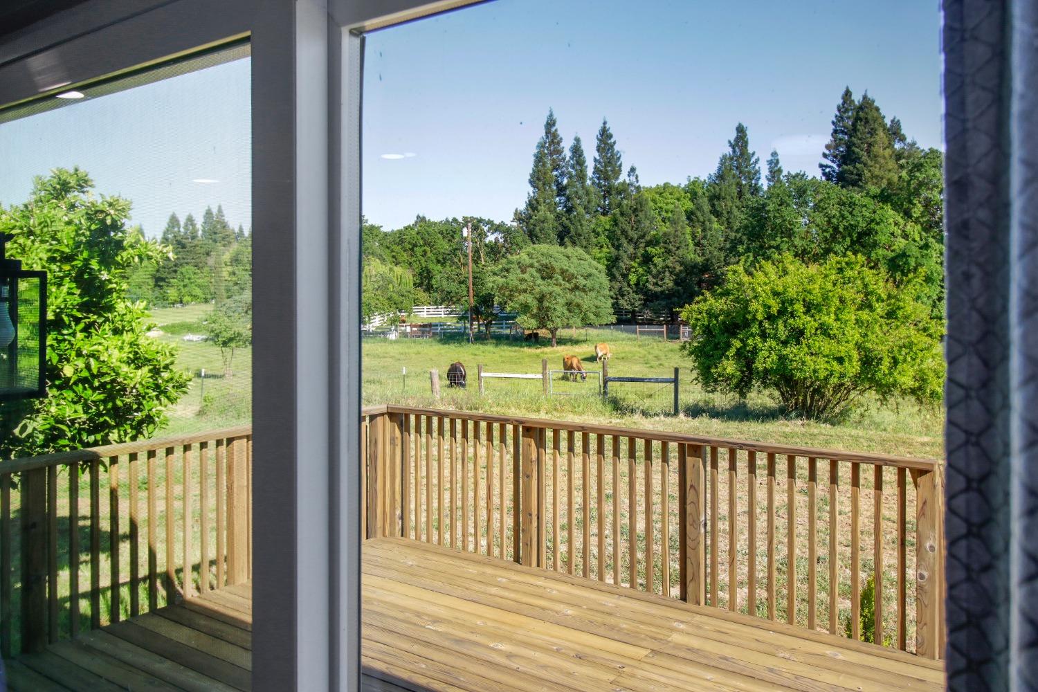 Detail Gallery Image 15 of 93 For 12730 Leo Ln, Wilton,  CA 95693 - 4 Beds | 4 Baths