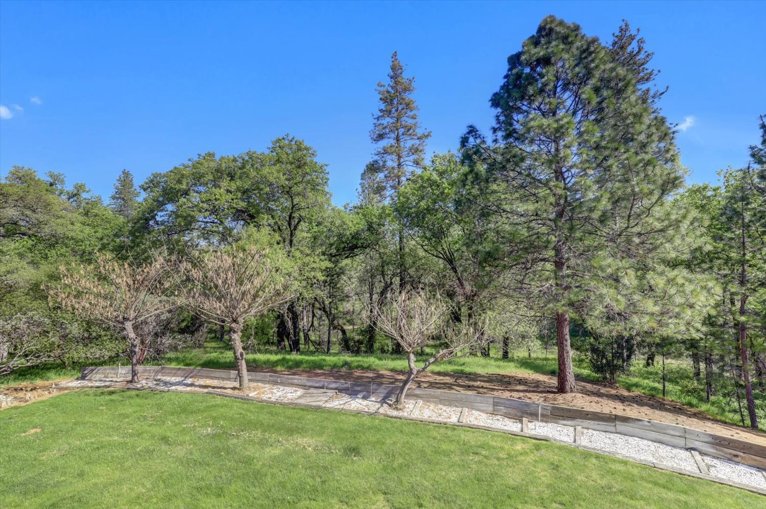 Detail Gallery Image 90 of 99 For 14508 Arrow Rd, Penn Valley,  CA 95946 - 3 Beds | 3/1 Baths