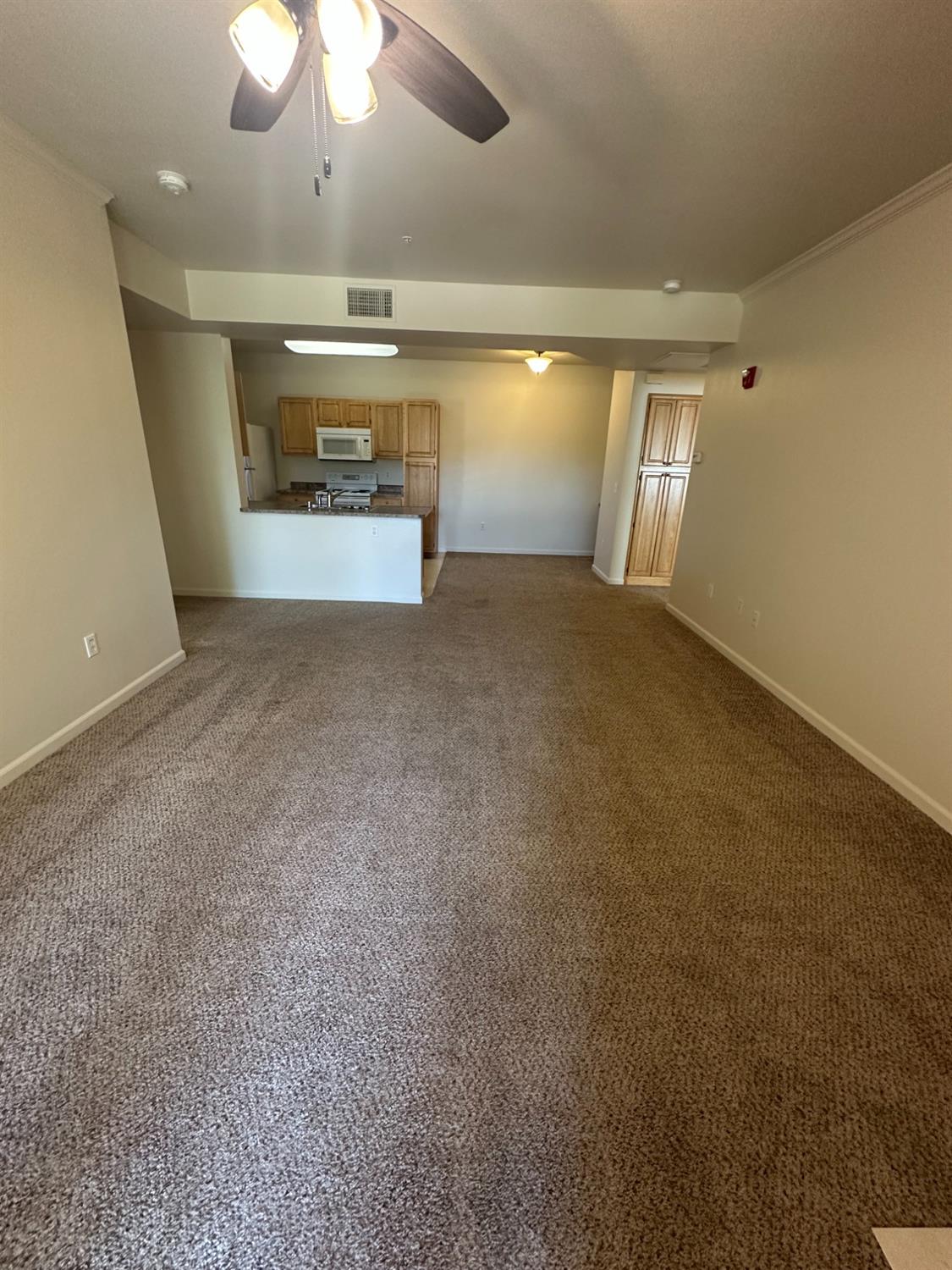 Photo #5: 225055476 Listing: Photo #5