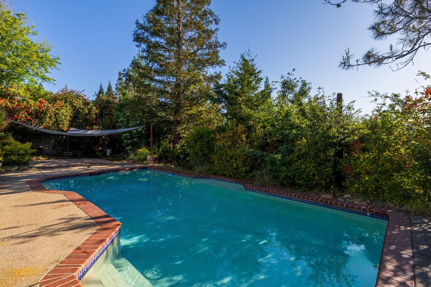 Platt Circle, El Dorado Hills, California image 6