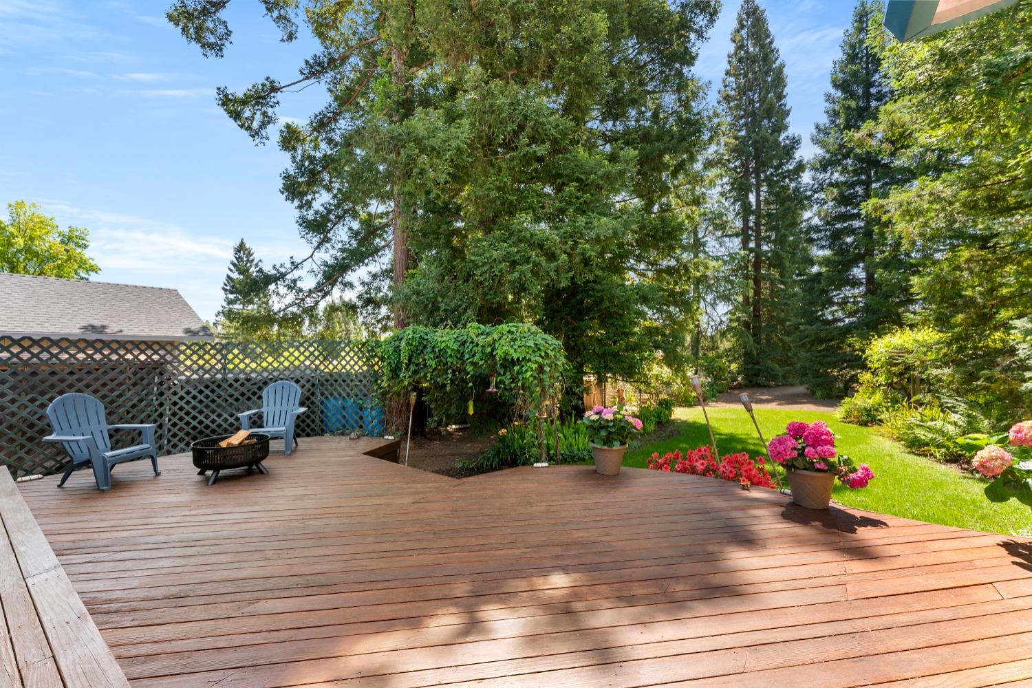 Detail Gallery Image 31 of 66 For 9512 Central Ave, Orangevale,  CA 95662 - 3 Beds | 2 Baths