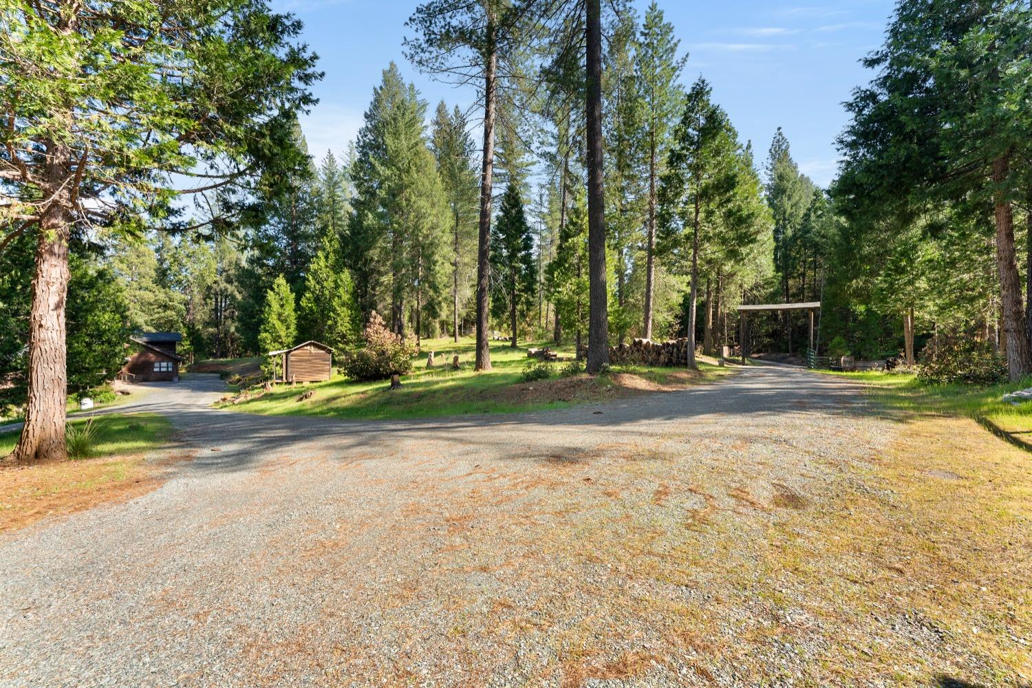 Bear Creek Road, Garden Valley, California image 10