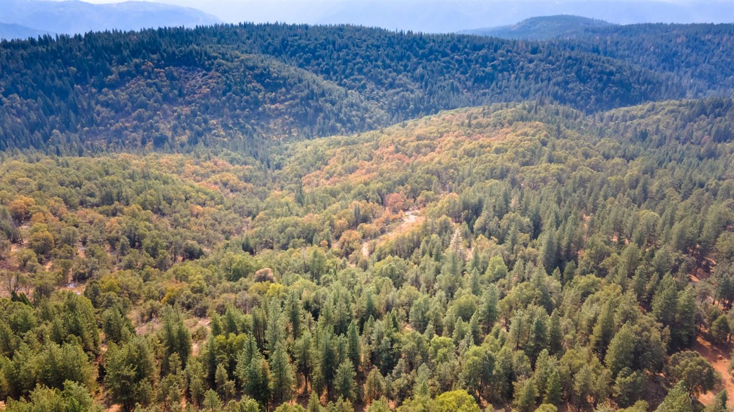 Ridge View Road, Foresthill, California image 1
