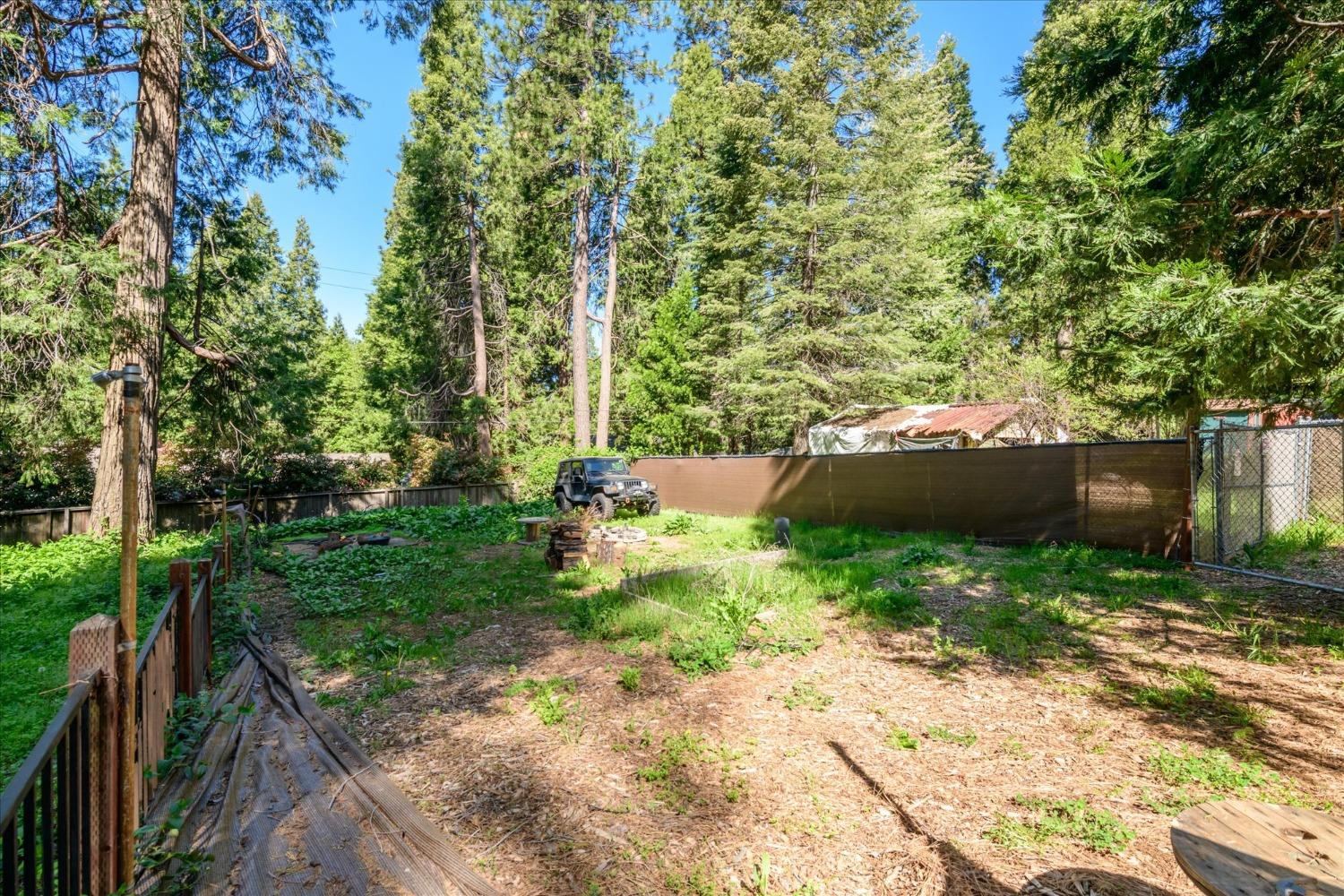 Alder Drive, Camino, California image 24