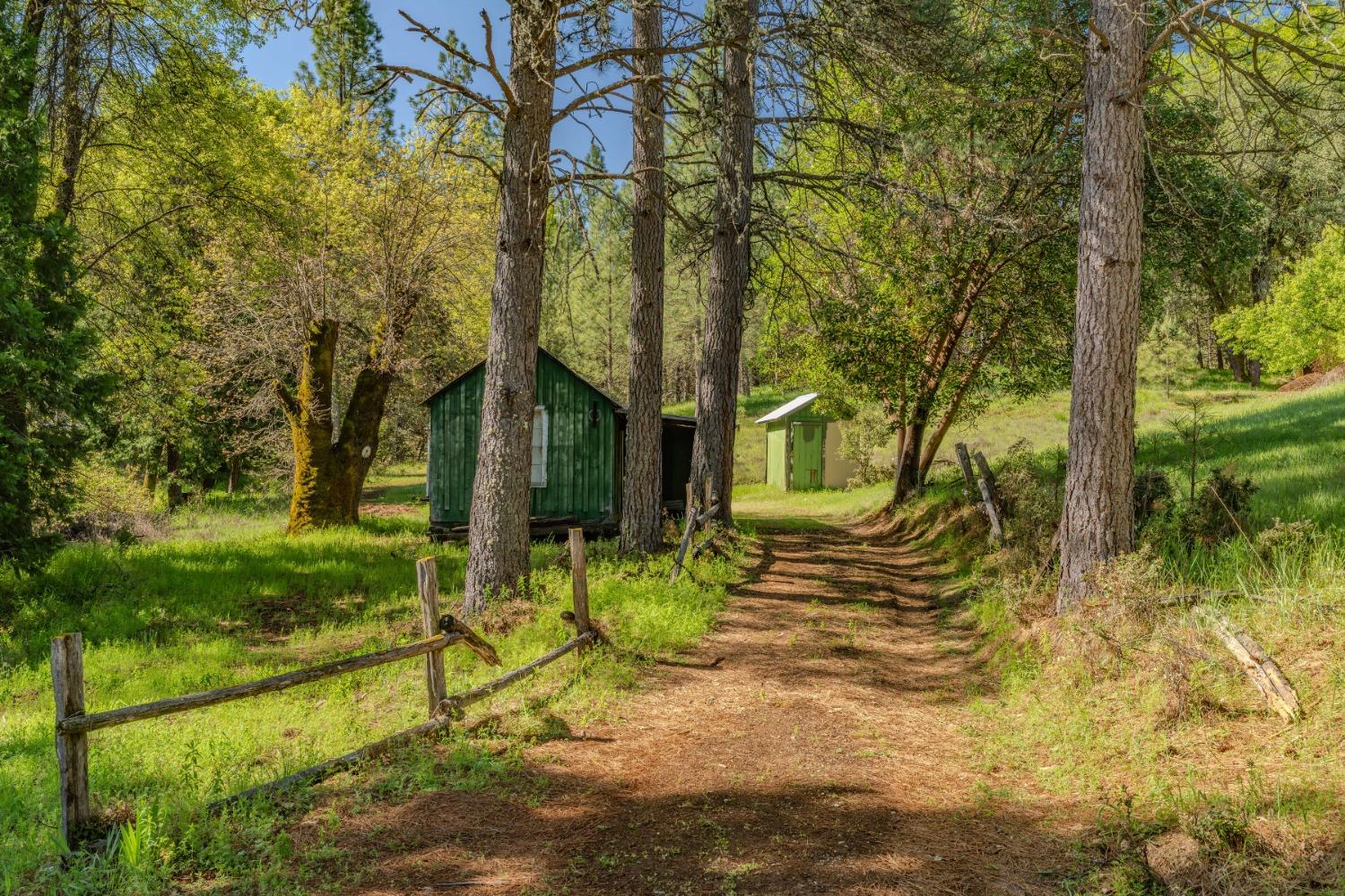 Pioneer Volcano Road, Pioneer, California image 49