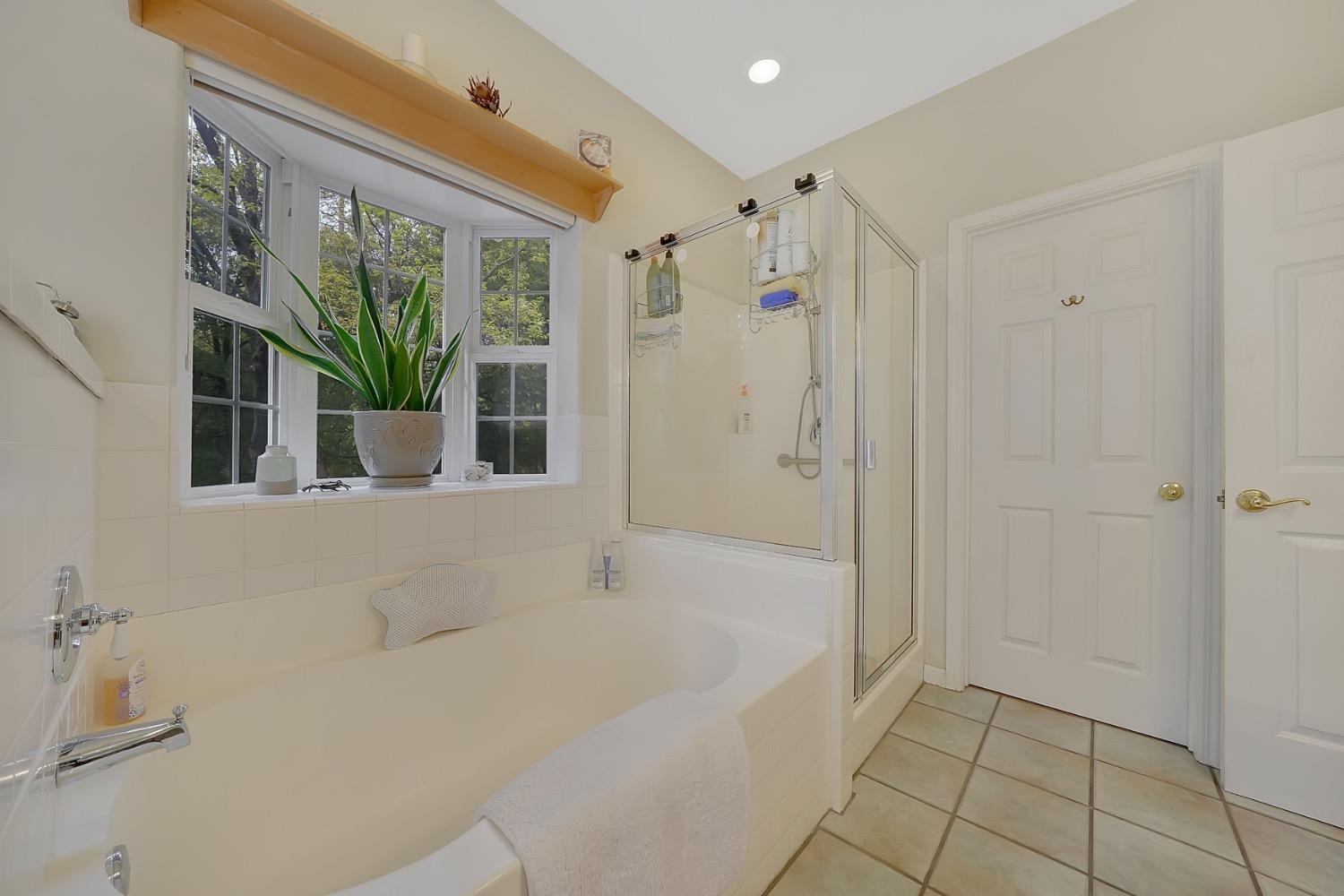 Detail Gallery Image 46 of 88 For 18860 Sylvia Dr, Pine Grove,  CA 95665 - 3 Beds | 2/1 Baths