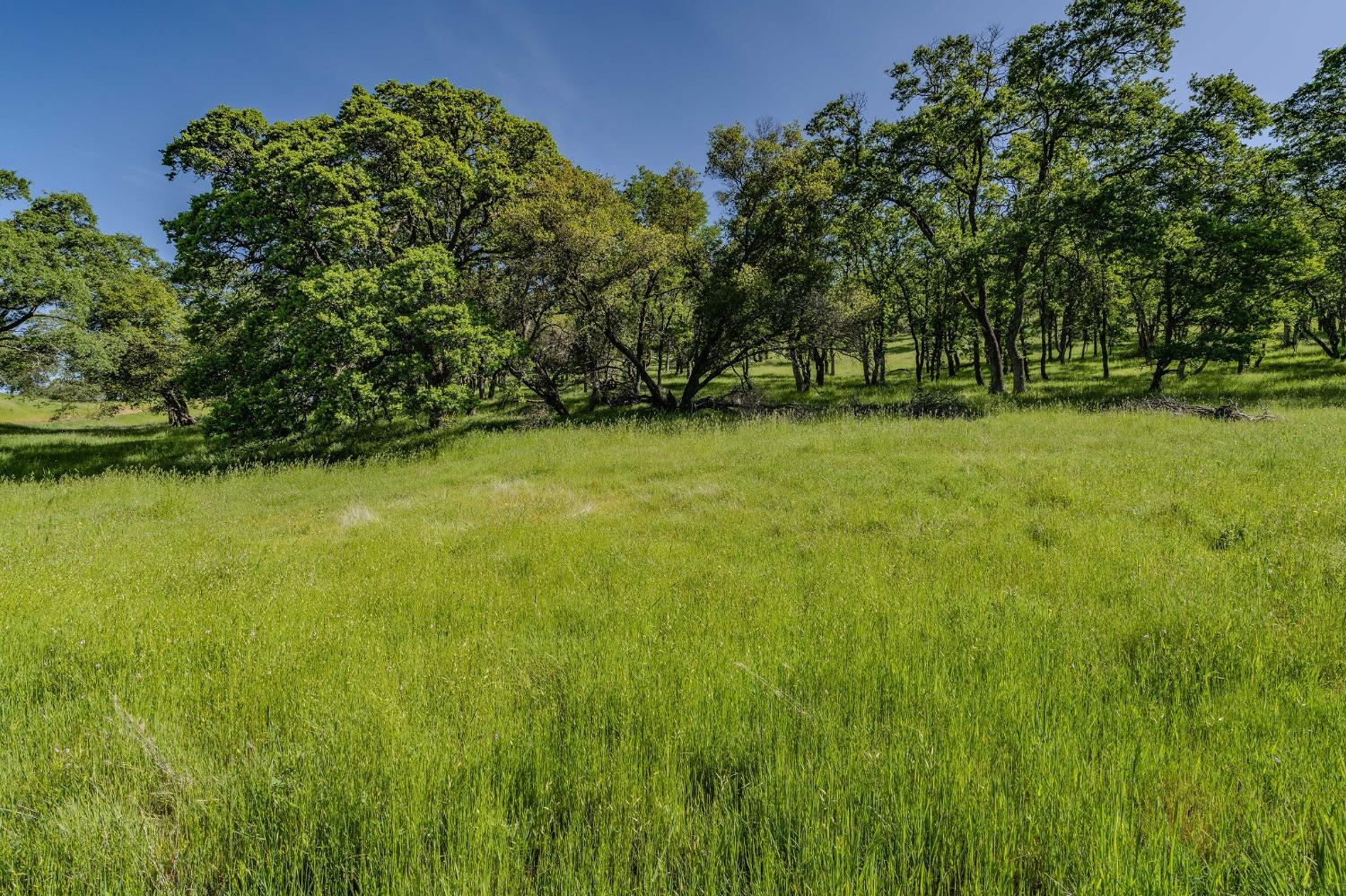 Sunset Drive, Sutter Creek, California image 3