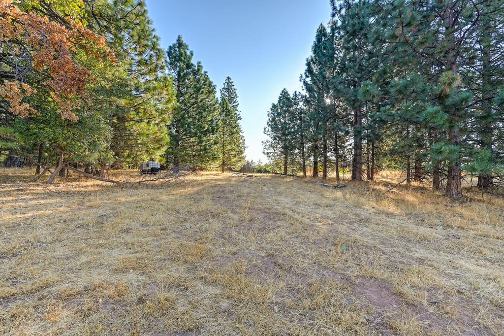 Shake Ridge Road, Volcano, California image 22