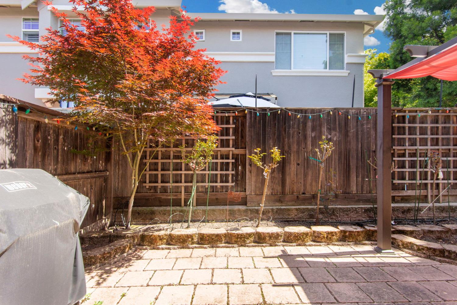 Photo #24: 225052322 Listing: Photo #24