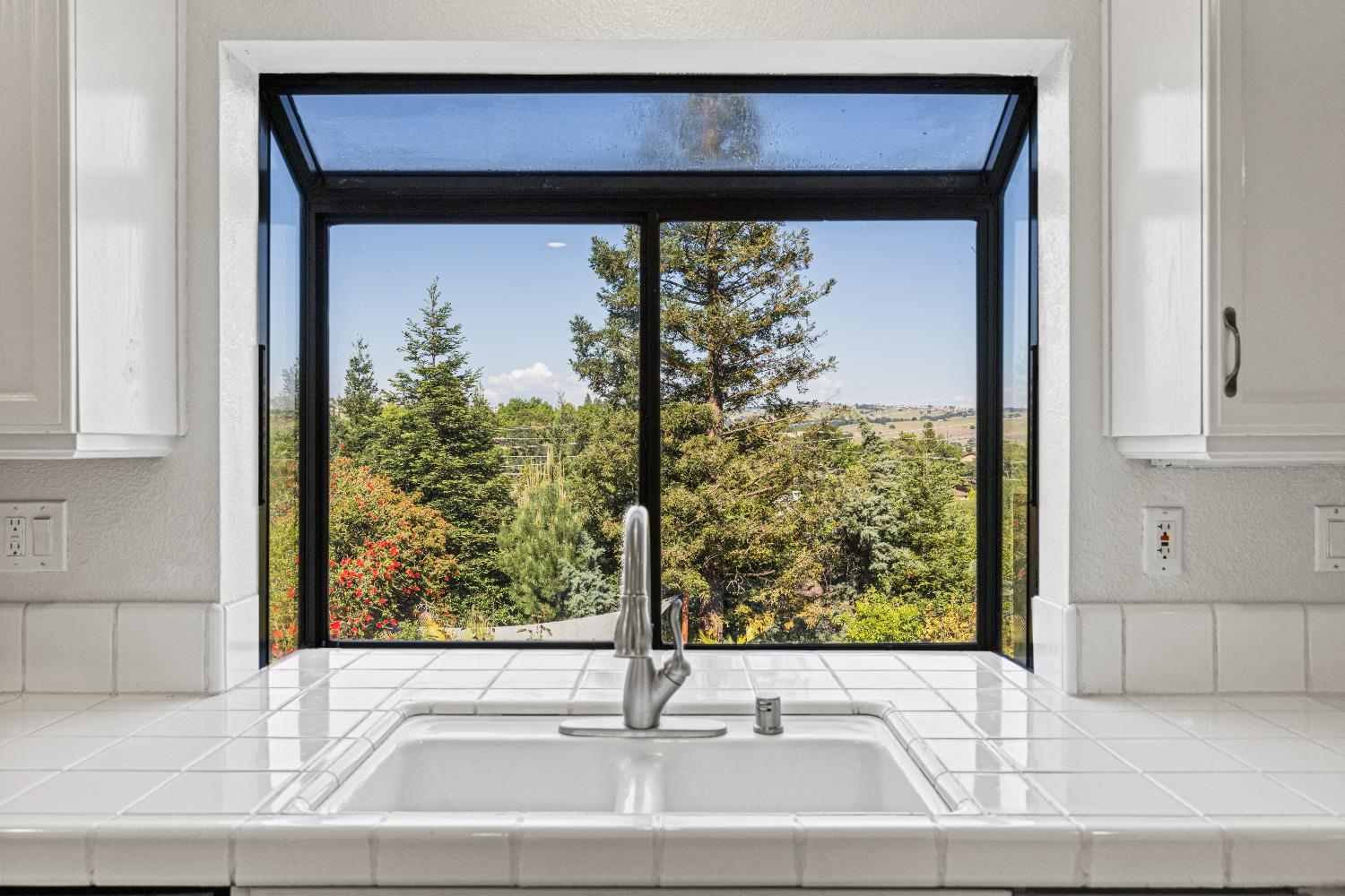 Platt Circle, El Dorado Hills, California image 17