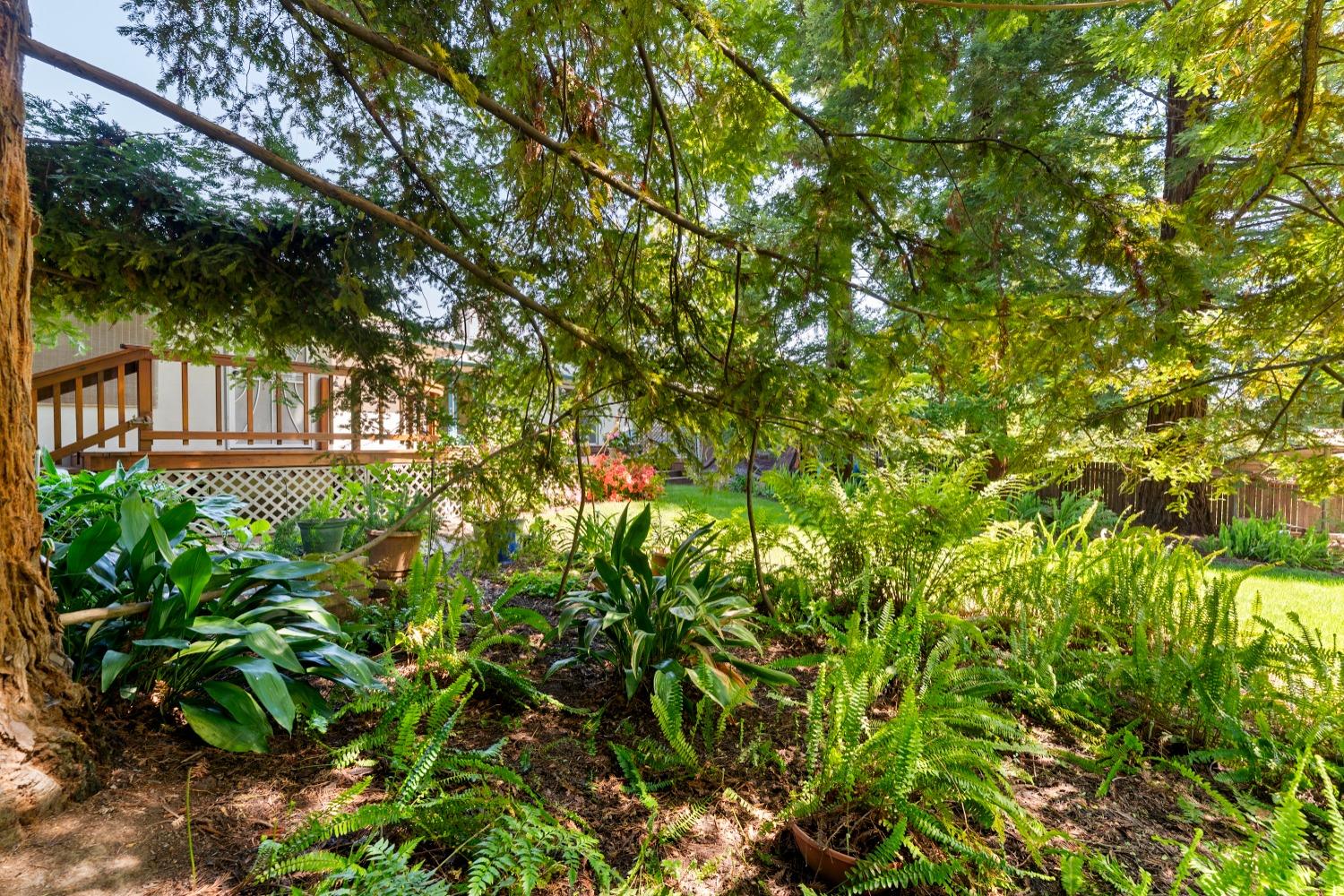 Detail Gallery Image 37 of 66 For 9512 Central Ave, Orangevale,  CA 95662 - 3 Beds | 2 Baths