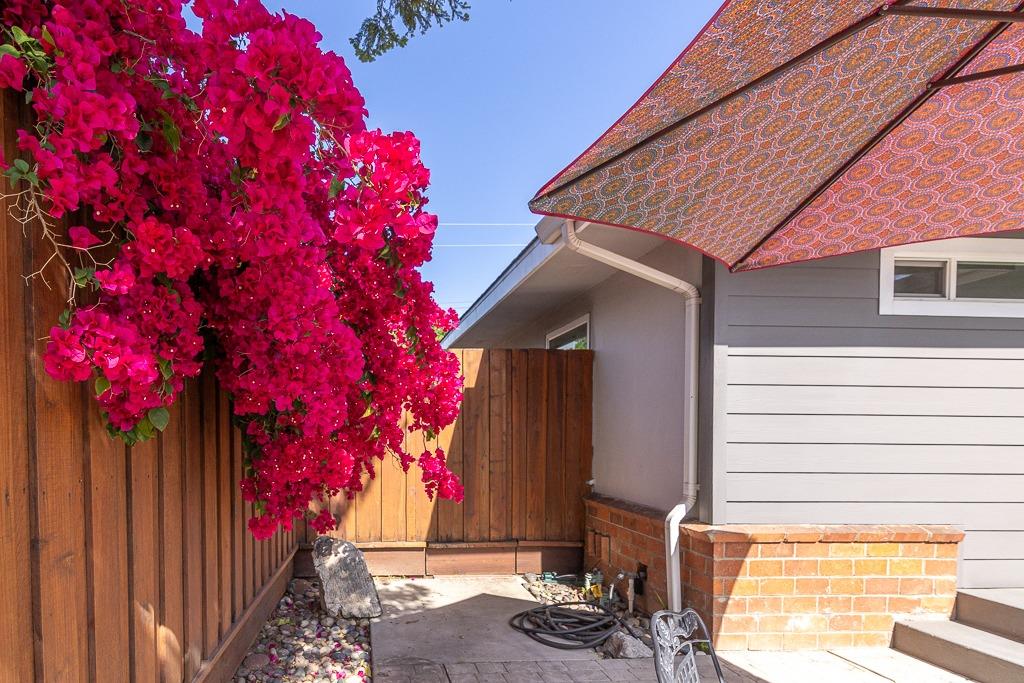 Albany Avenue, Modesto, California image 9