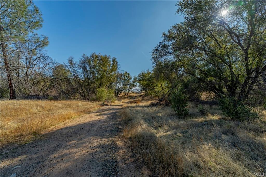 State Highway 140, Catheys Valley, California image 9
