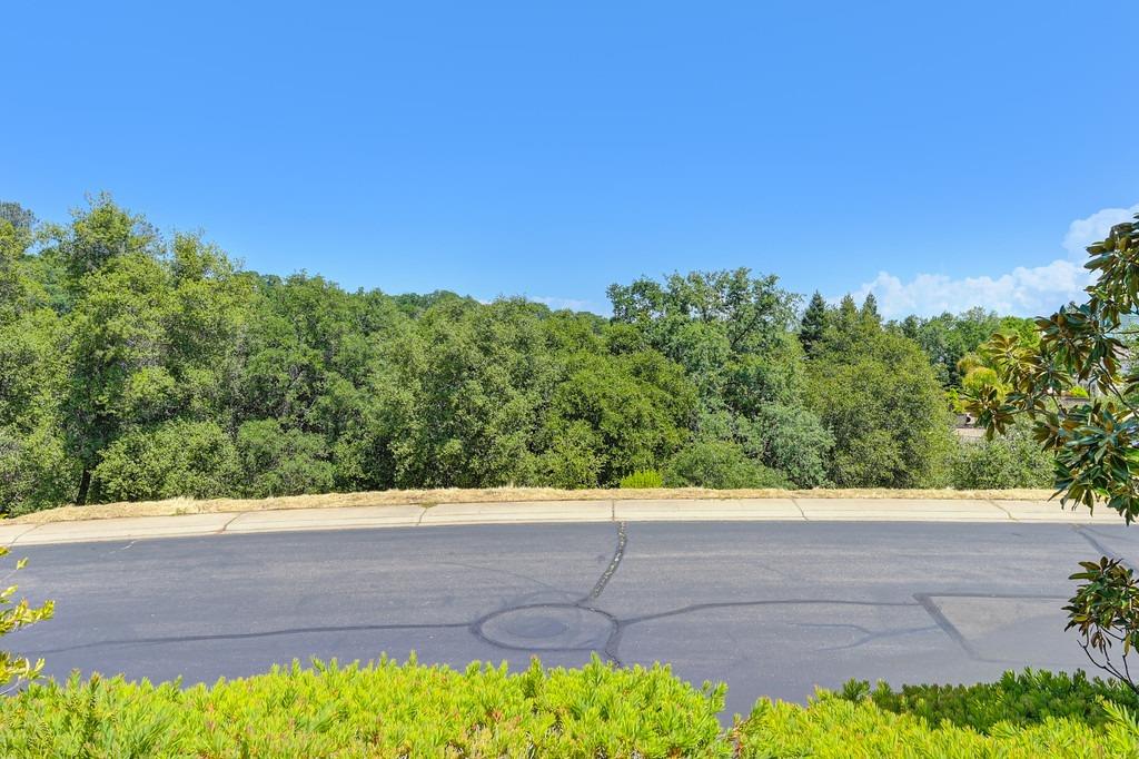 Bordeaux Drive, El Dorado Hills, California image 24