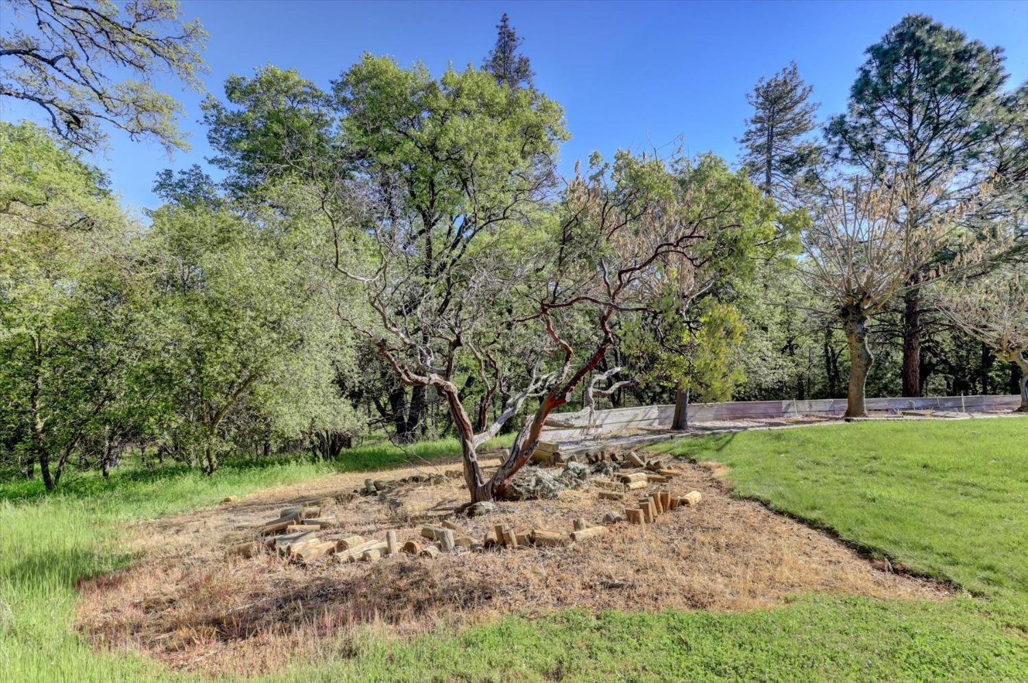 Detail Gallery Image 72 of 99 For 14508 Arrow Rd, Penn Valley,  CA 95946 - 3 Beds | 3/1 Baths