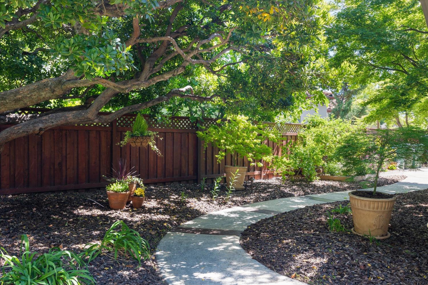 Tuscan Lane, Sacramento, California image 47