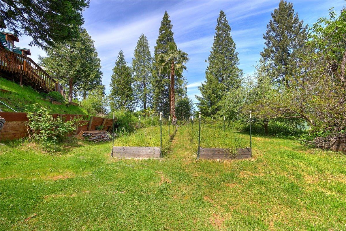 Sages Road, Nevada City, California image 46
