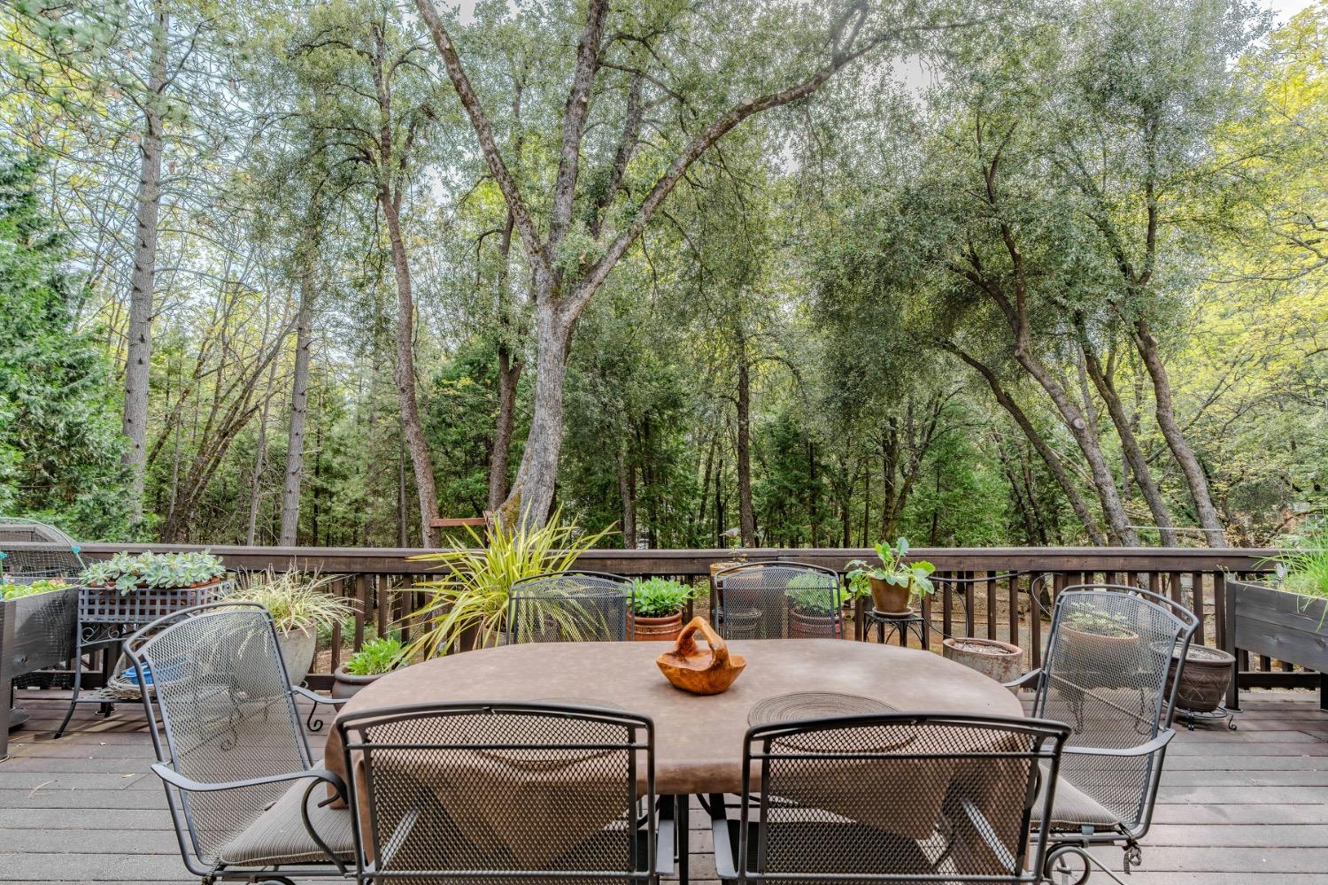 Detail Gallery Image 64 of 88 For 18860 Sylvia Dr, Pine Grove,  CA 95665 - 3 Beds | 2/1 Baths