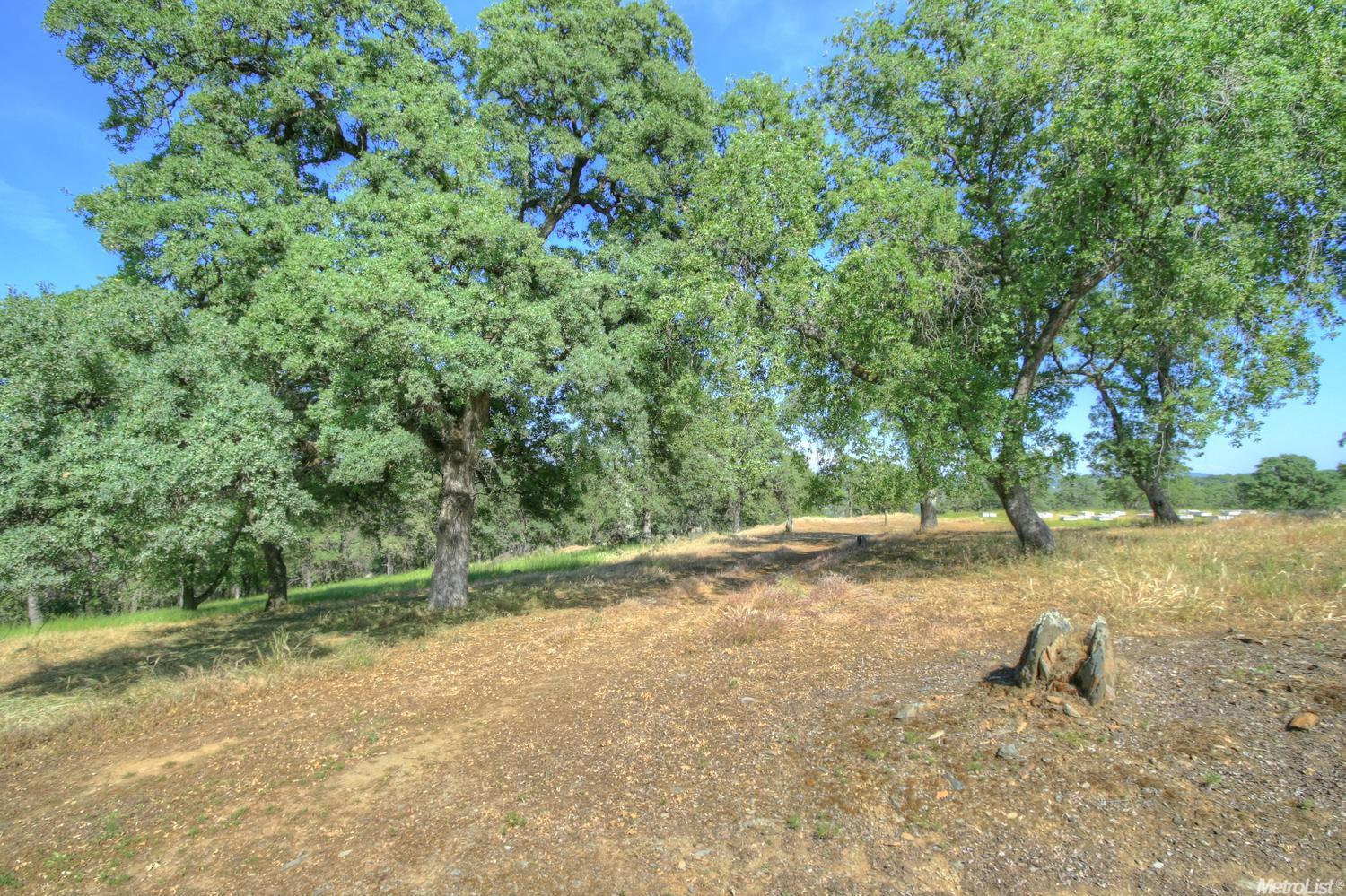 Garden Bar Road, Lincoln, California image 15