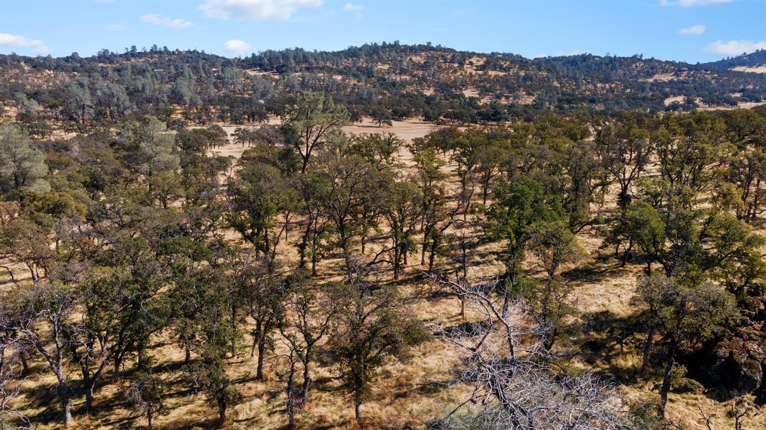 Hammonton Bluff Parcel 8, Smartsville, California image 29