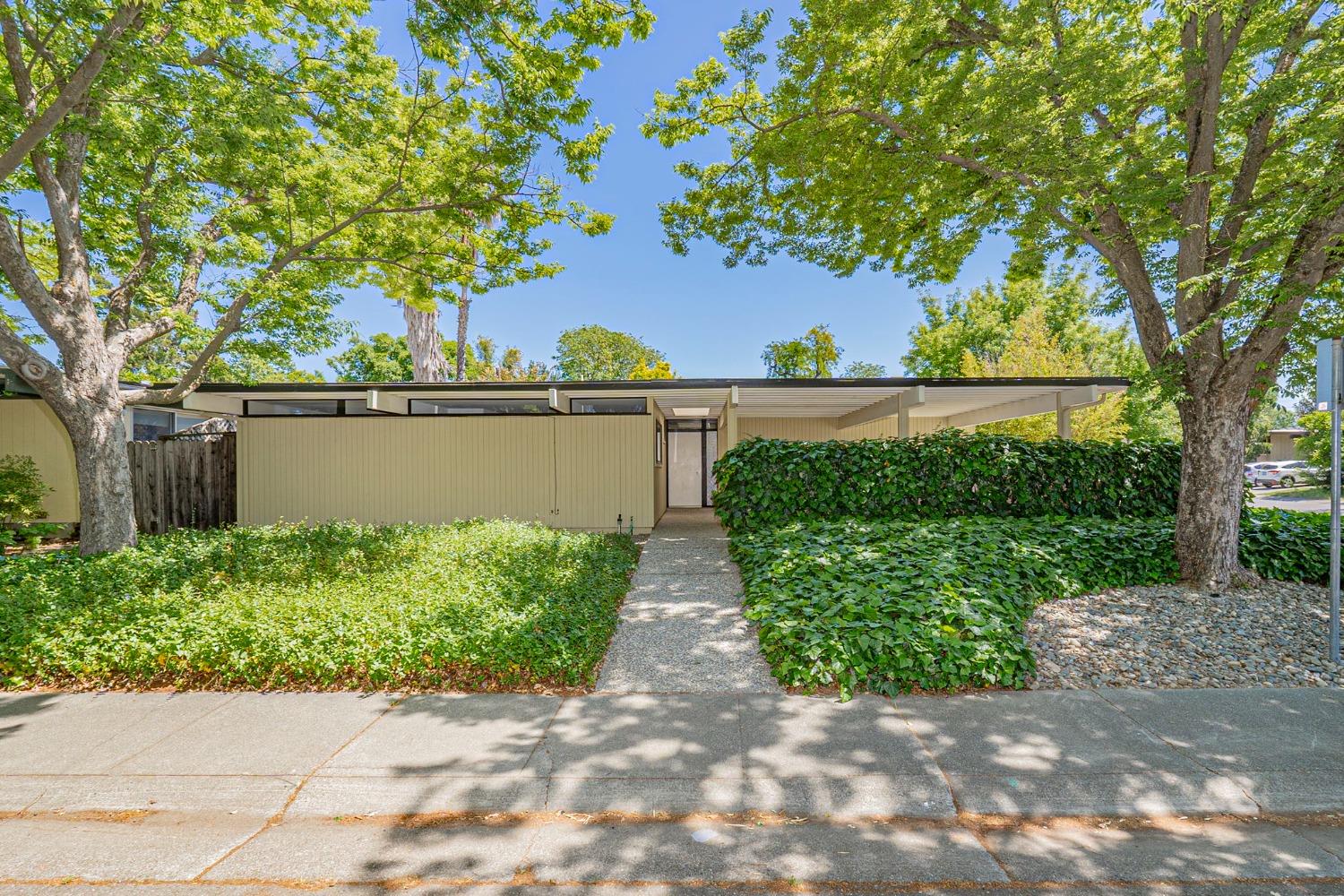Pine Lane, Davis, California image 1