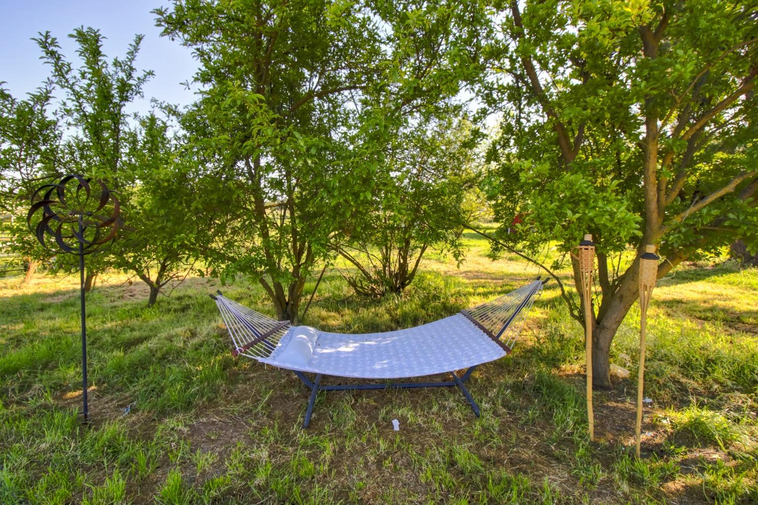 Detail Gallery Image 48 of 93 For 12730 Leo Ln, Wilton,  CA 95693 - 4 Beds | 4 Baths