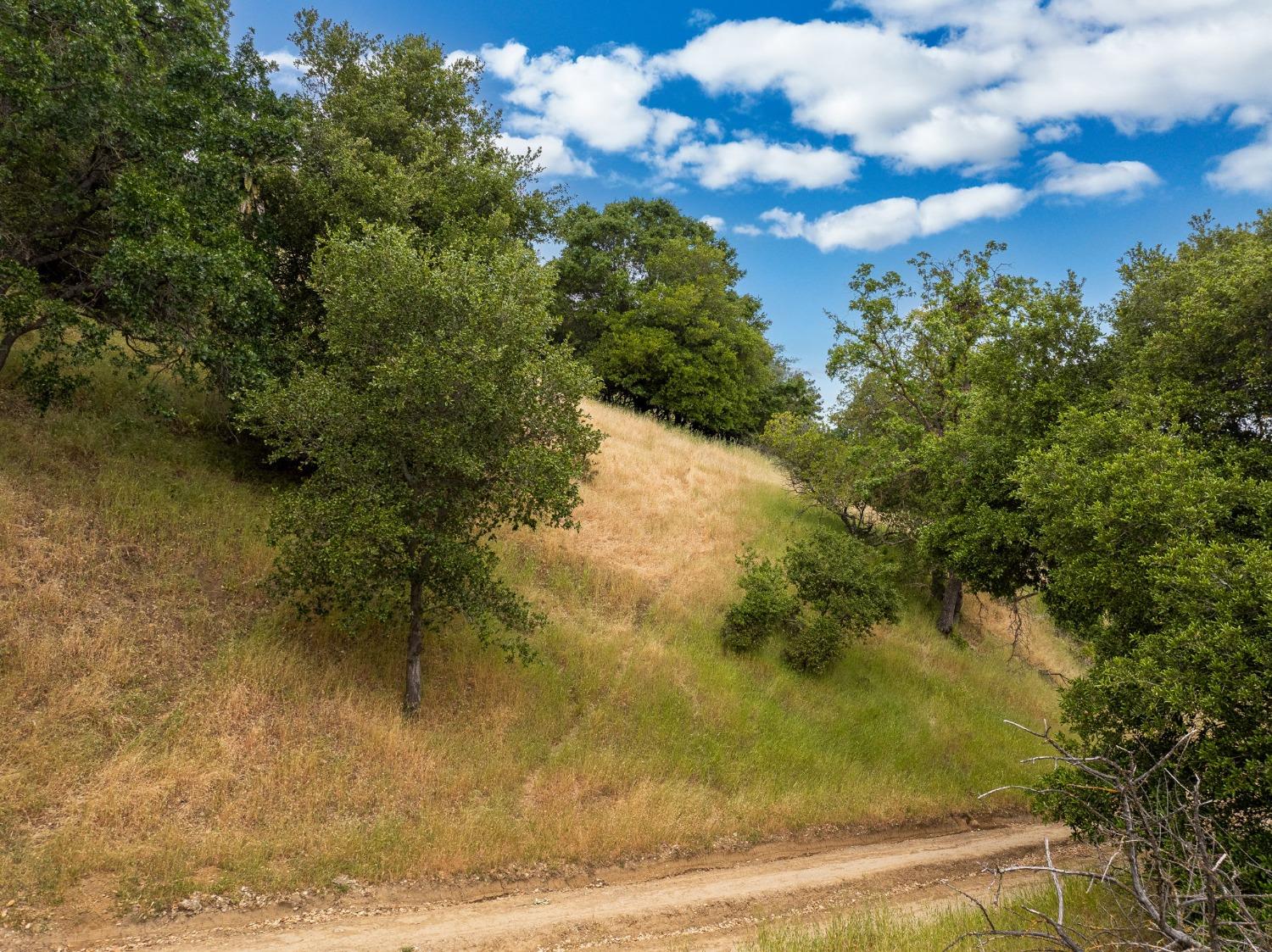 Park Street, Martinez, California image 25