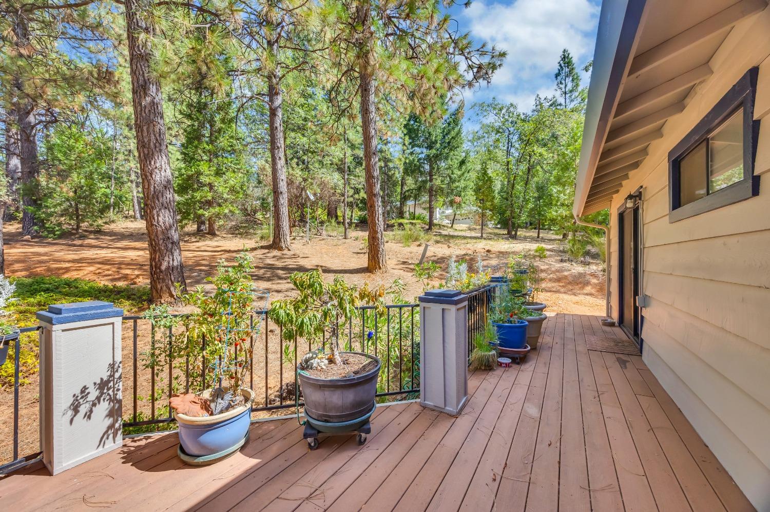 Detail Gallery Image 11 of 79 For 15135 Orchard Springs Rd, Grass Valley,  CA 95945 - 4 Beds | 4/1 Baths