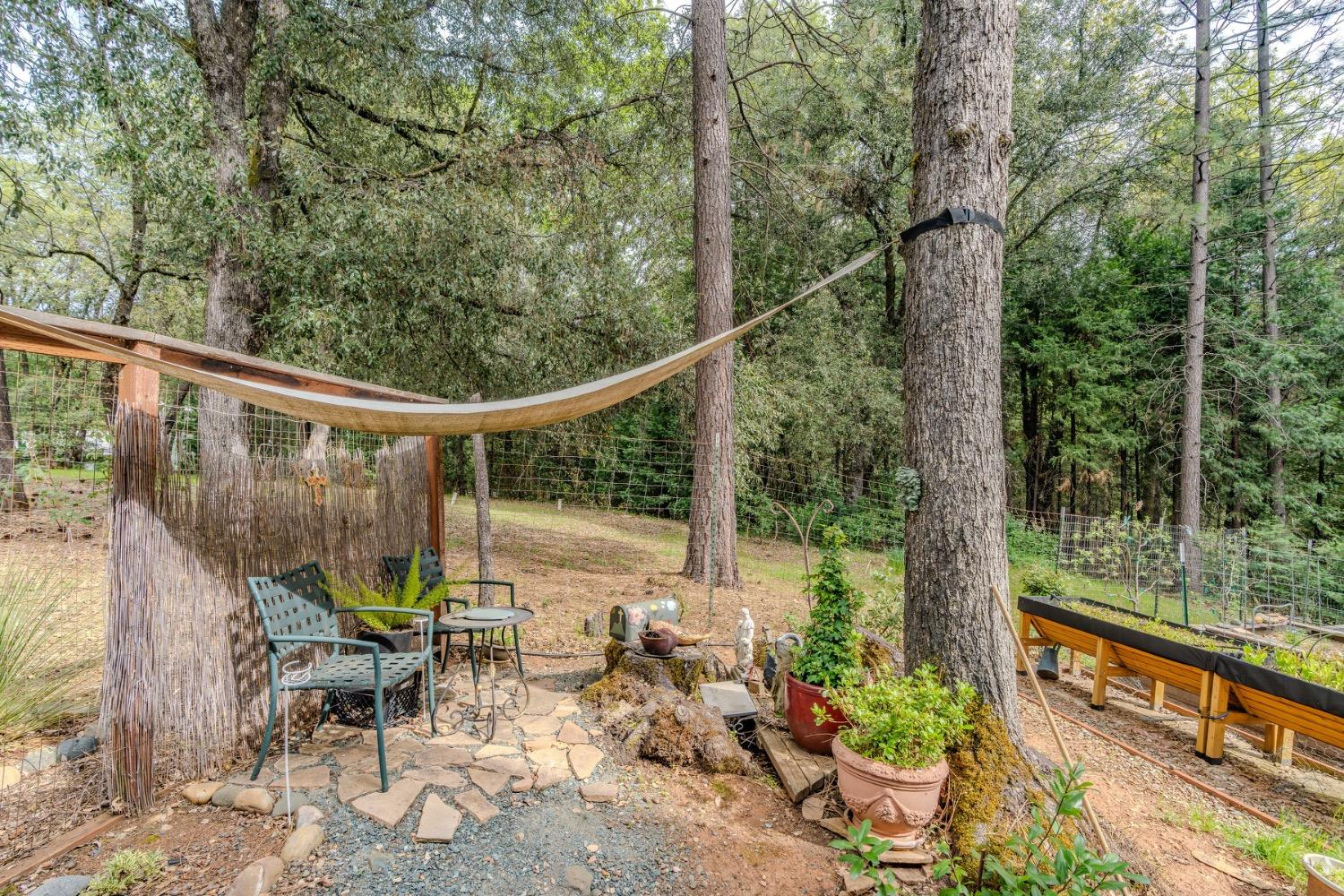 Detail Gallery Image 86 of 88 For 18860 Sylvia Dr, Pine Grove,  CA 95665 - 3 Beds | 2/1 Baths