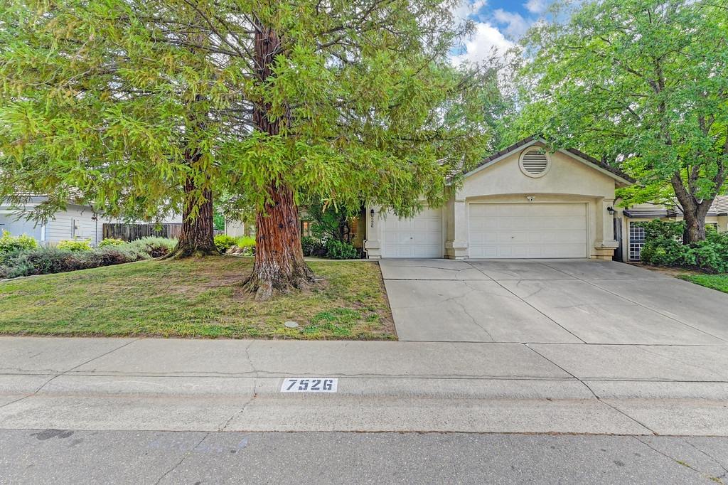 Buckhaven Way, Citrus Heights, California image 1
