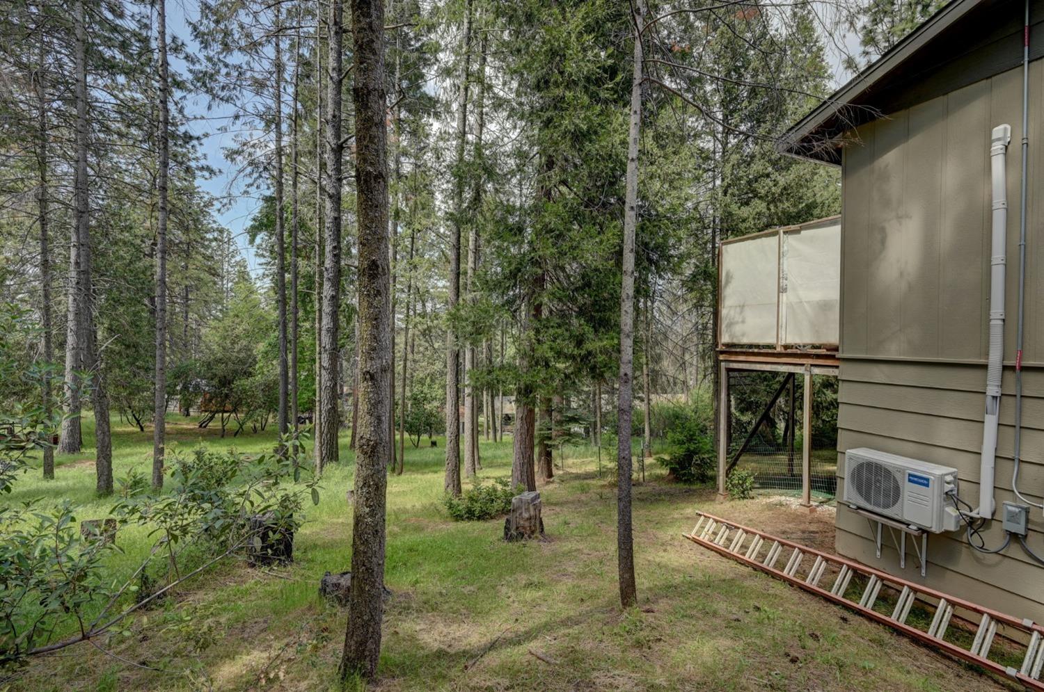 Marc Drive, Pine Grove, California image 5