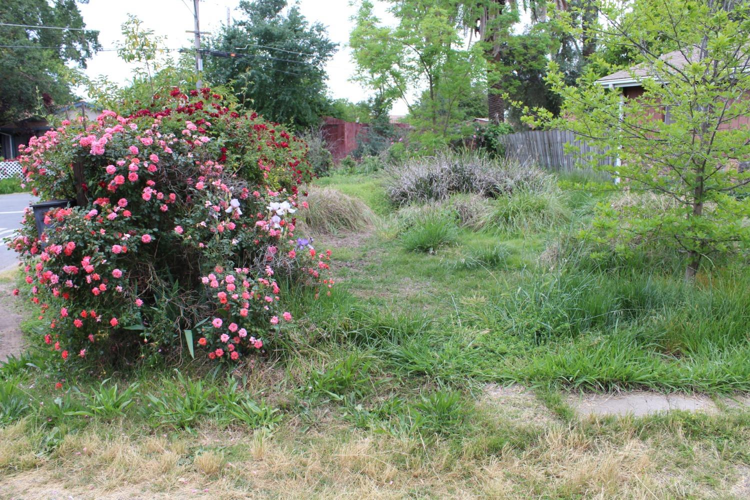 Verano Street, Sacramento, California image 3